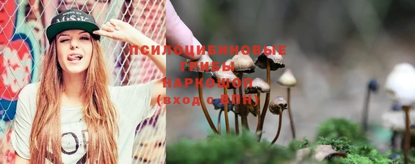 тгк Каменка
