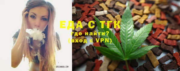 тгк Каменка