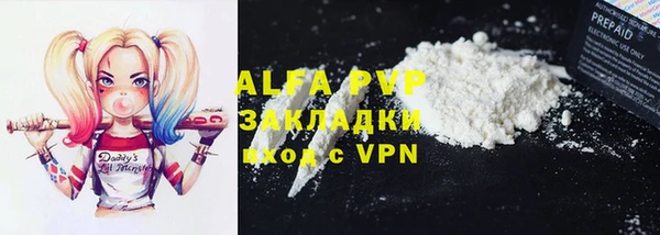 тгк Каменка