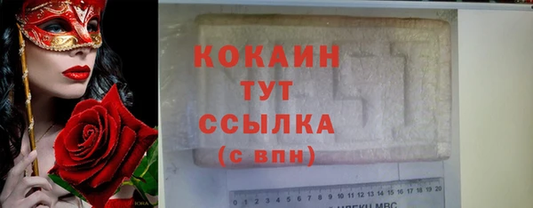 тгк Каменка
