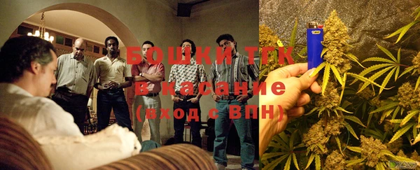 тгк Каменка