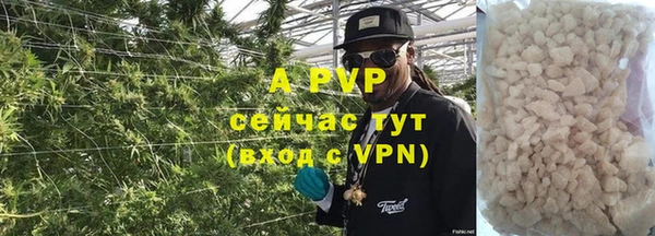 тгк Каменка