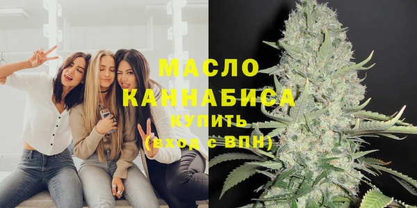 тгк Каменка