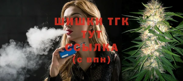 тгк Каменка