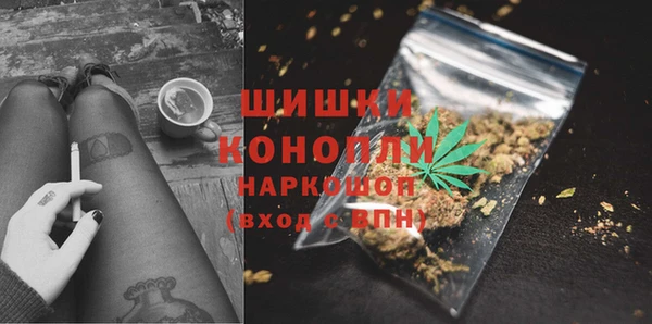 тгк Каменка