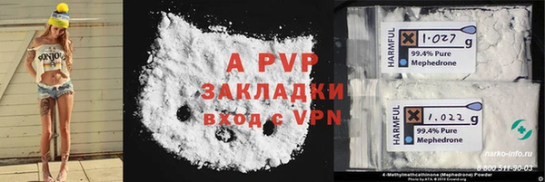 тгк Каменка