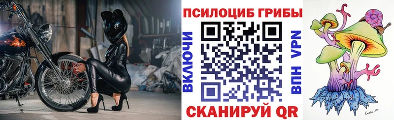 Галлюциногенные грибы прущие грибы  Купить где  Бабушкин 